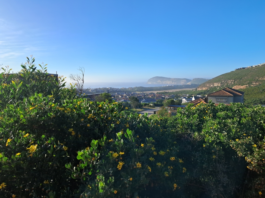 0 Bedroom Property for Sale in Whale Rock Western Cape